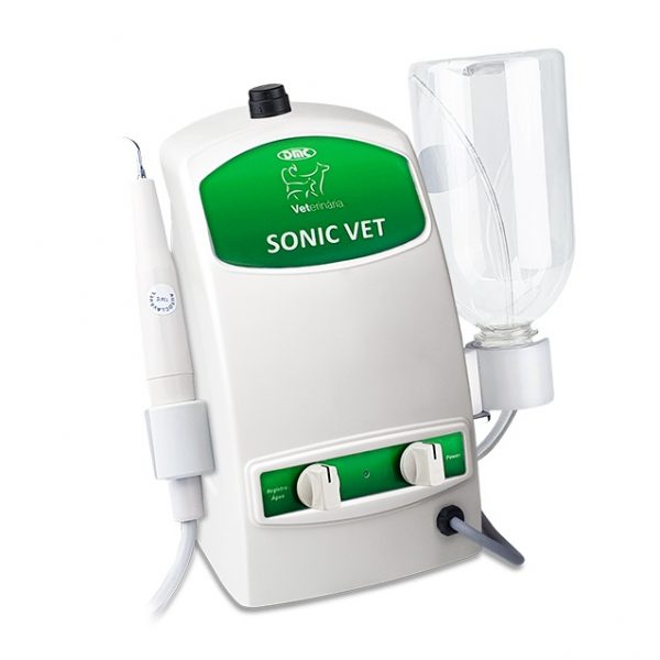 Sonic Vet