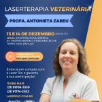 Laserterapia Veterinária